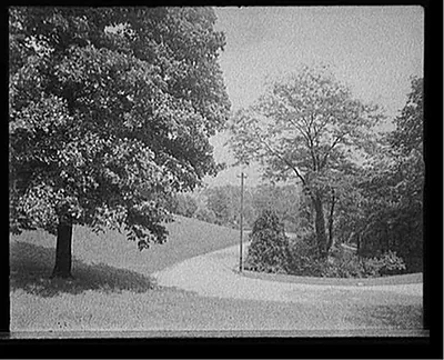 [Burnet Woods, a turn in the road, Cincinnati, Ohio]