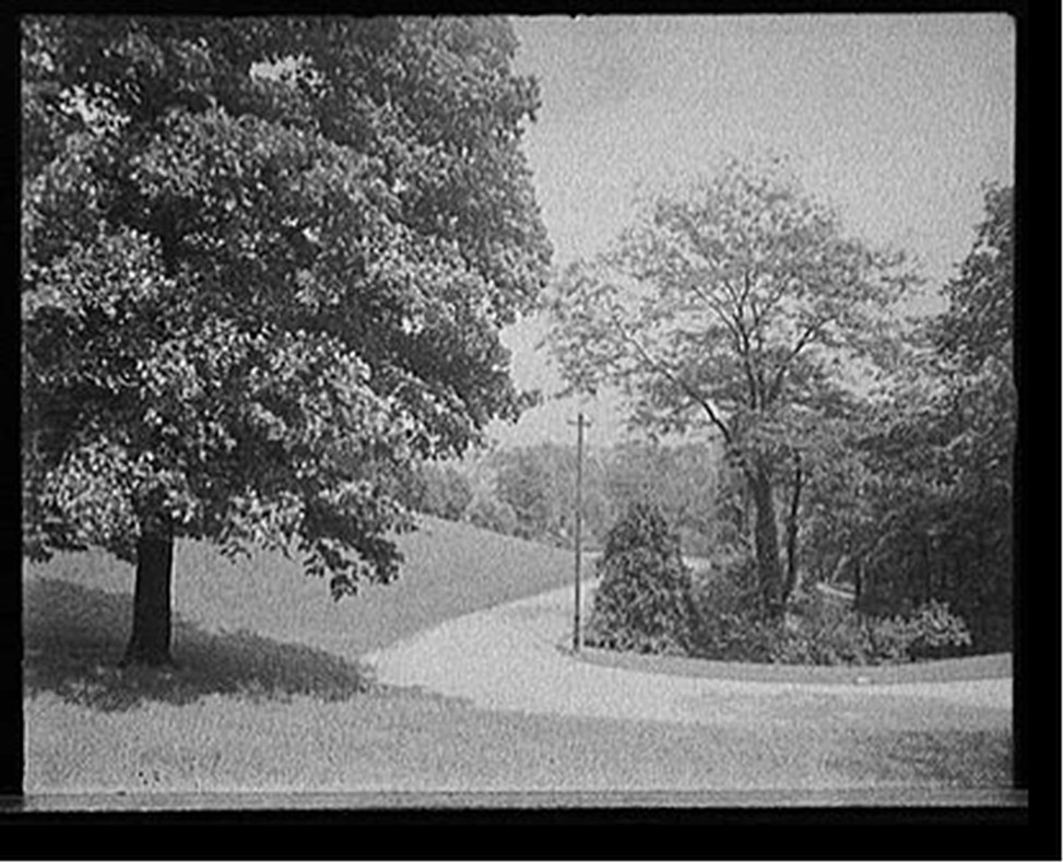 [Burnet Woods, a turn in the road, Cincinnati, Ohio], [between 1900 and 1915] — historic photograph