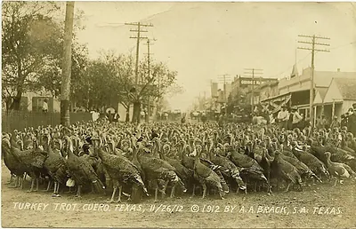 Turkey Trot, Cuero, Texas, 11/26/12 postcard