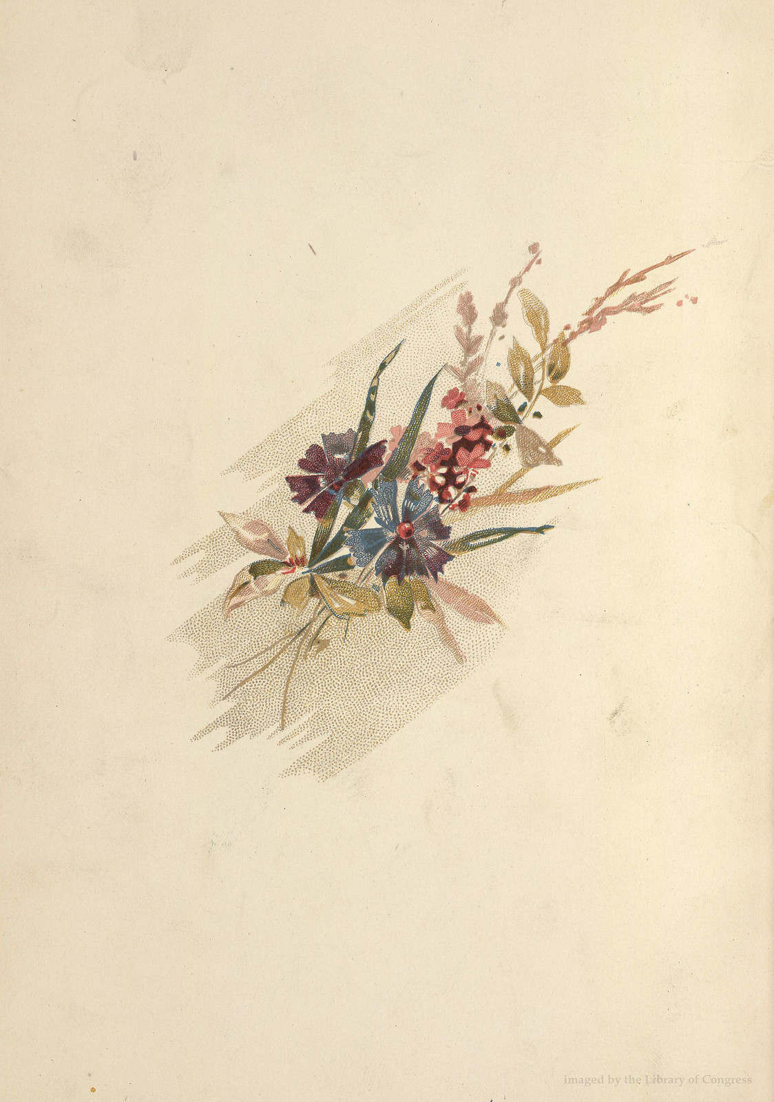 Chromolithographed floral spray with wildflowers on cream paper — antique lithograph