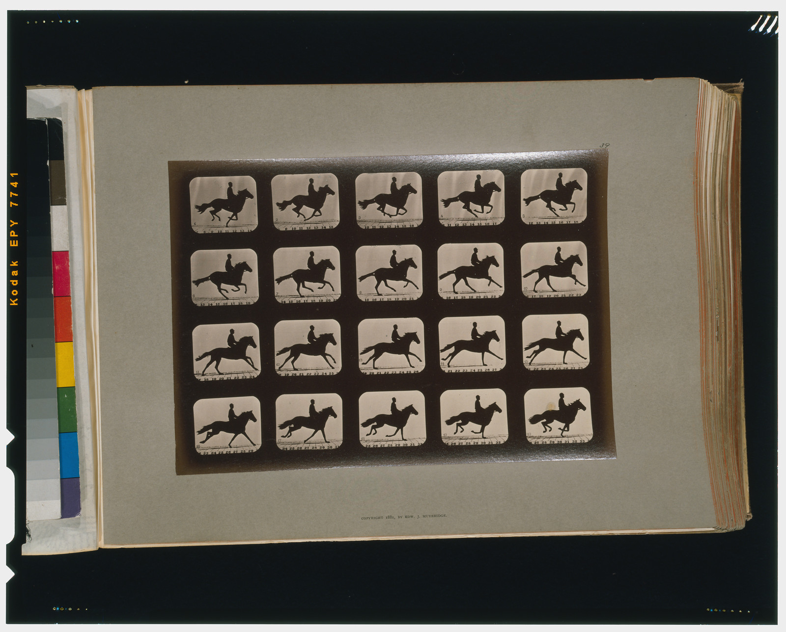 Horses. Running, [San Francisco] : Muybridge, c1881. — historic photograph