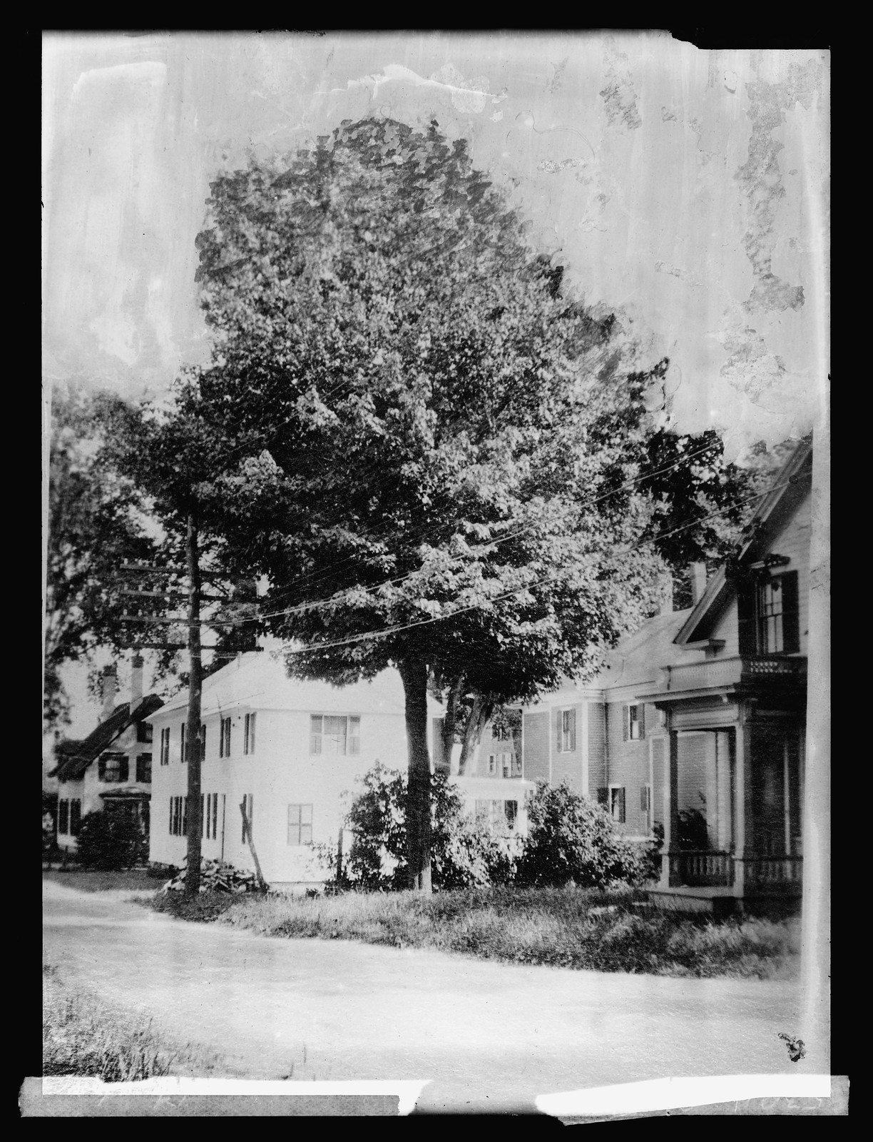 Am. Faes[...], 12/22/20, [19]20 December 22. — historic photograph