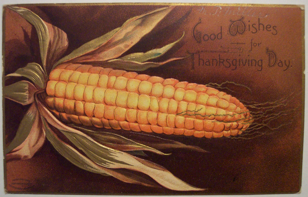 Good Wishes for Thanksgiving Day, postcard with corn ear — vintage postcard