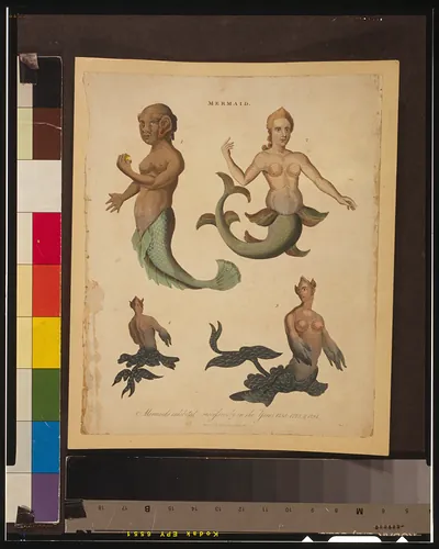 Mermaid--Mermaids exhibited successively in the Years 1758, 1775, & 1794 / J. Pass, sc.