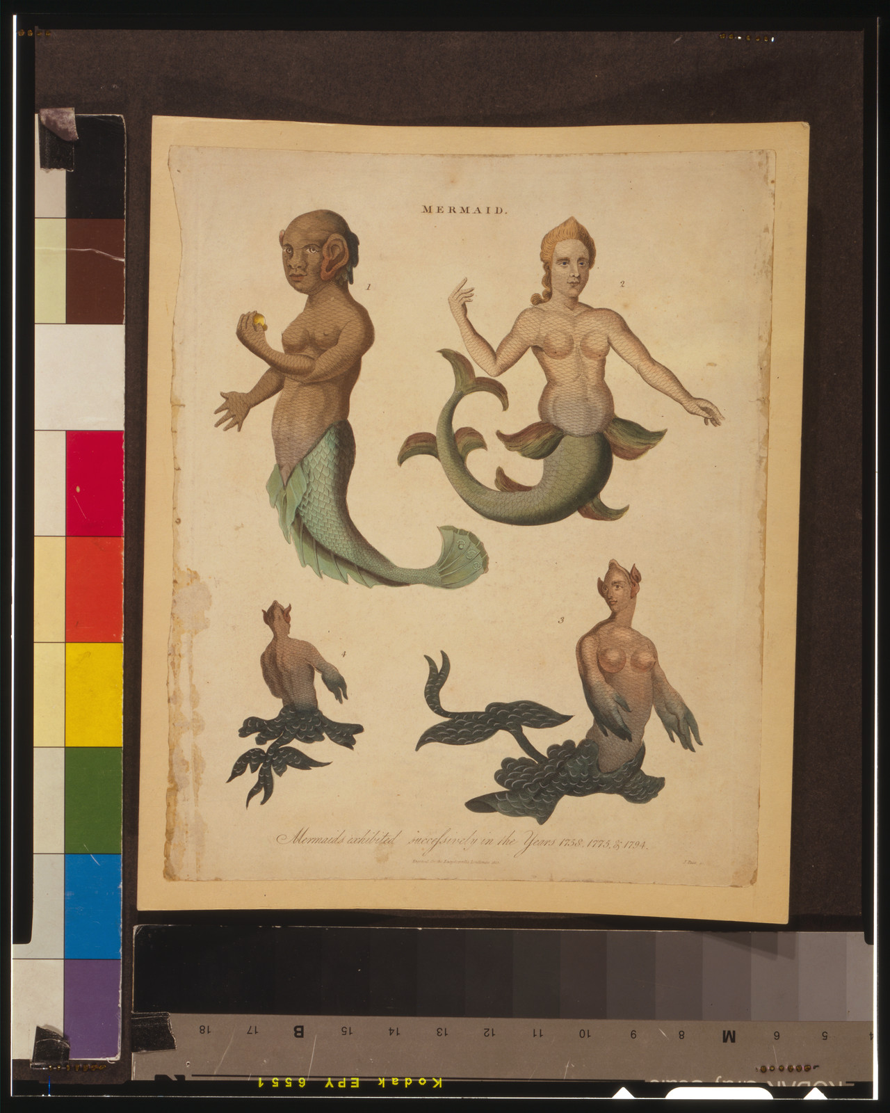 Mermaid--Mermaids exhibited successively in the Years 1758, 1775, & 1794 / J. Pass, sc., 1817 — antique engraving