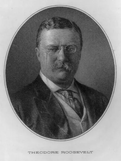 [Theodore Roosevelt, head and shoulders portrait, facing right, in oval]
