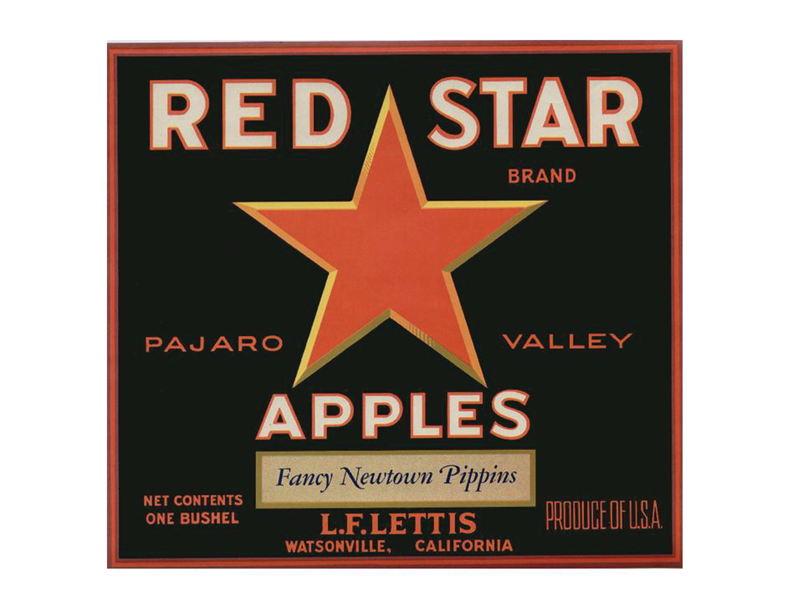 Red Star Brand Pajaro Valley Apples crate label — historic image