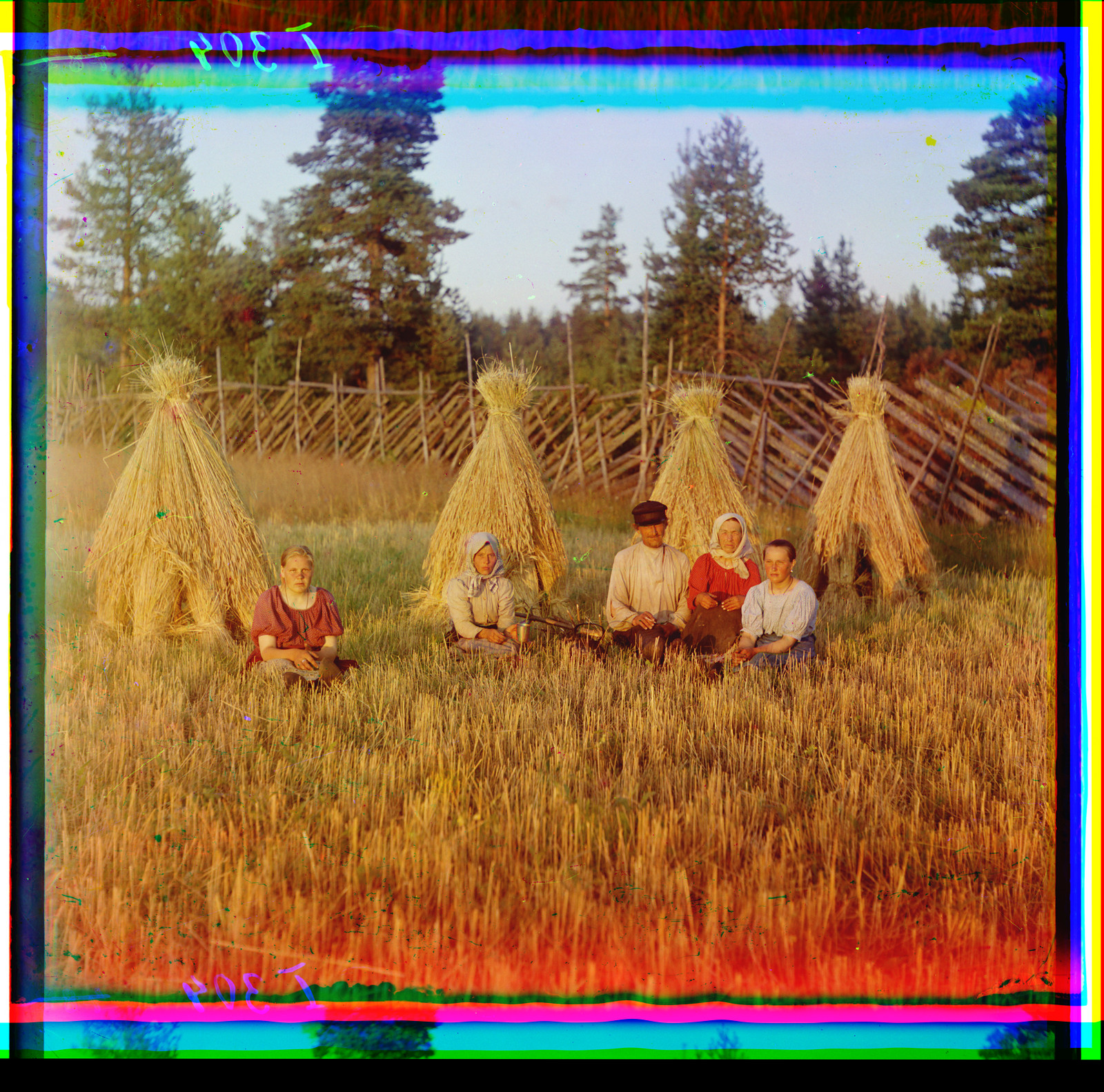Peasants seated among harvest sheaves in a field — historic image