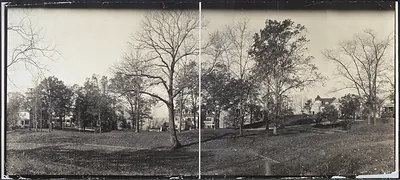 Panoramic photograph of a tree-lined residential hillside with houses