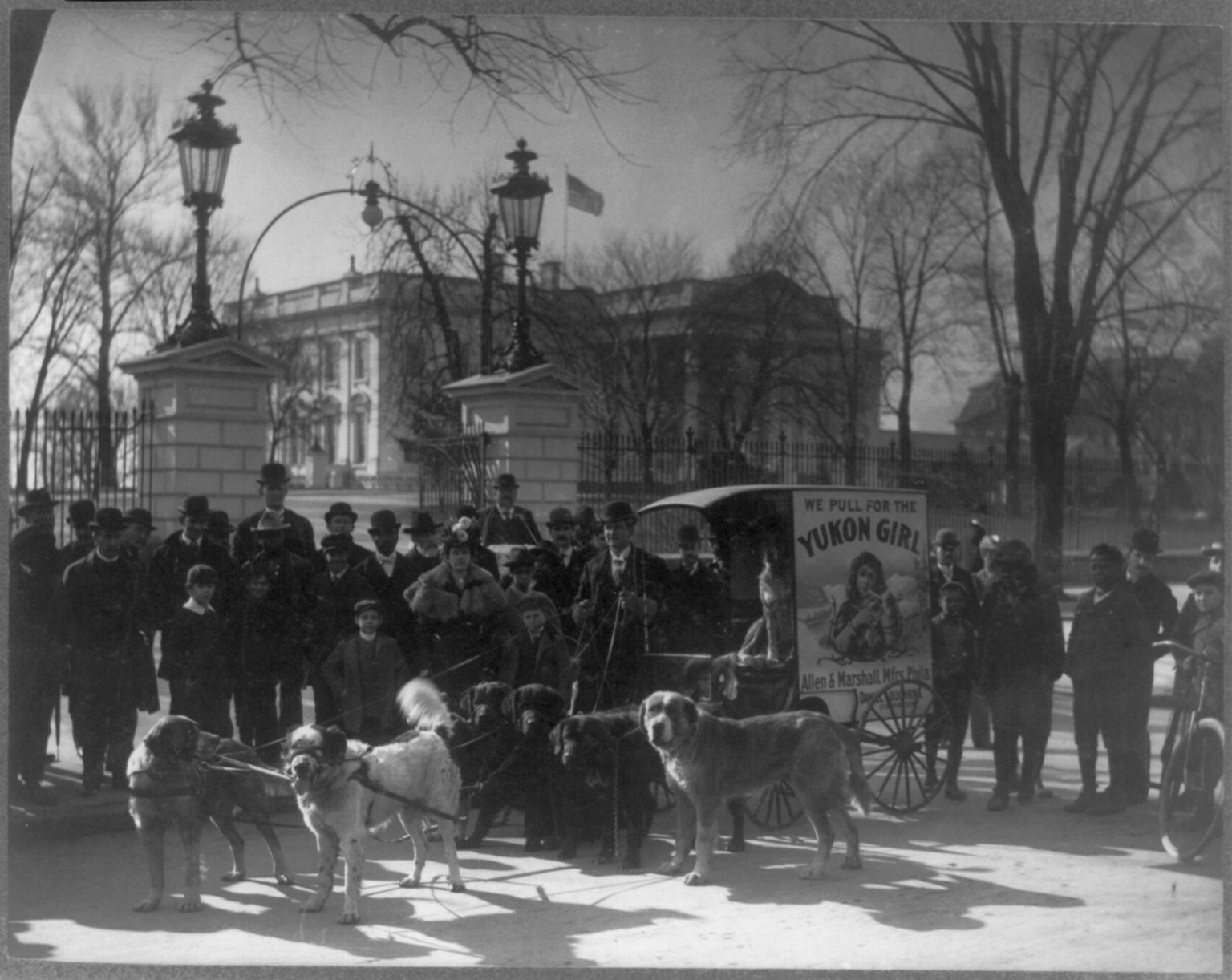 [Group of people and cart pulled by dogs, with poster advertising Yukon Girl, in front of the White House], [ca. 1919] — historic photograph