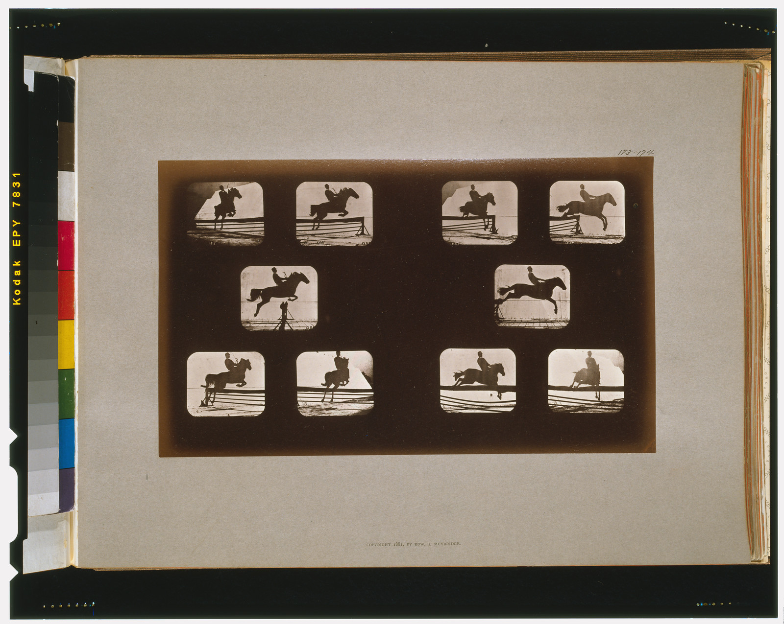 Horses. Leaping, [San Francisco] : Muybridge, c1881. — historic photograph