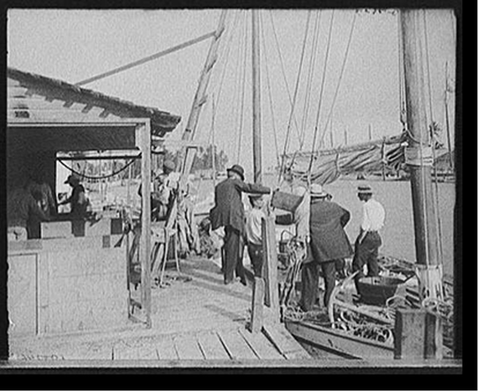[Miami, Fla., fish docks along the Miami], [between 1900 and 1920] — historic photograph