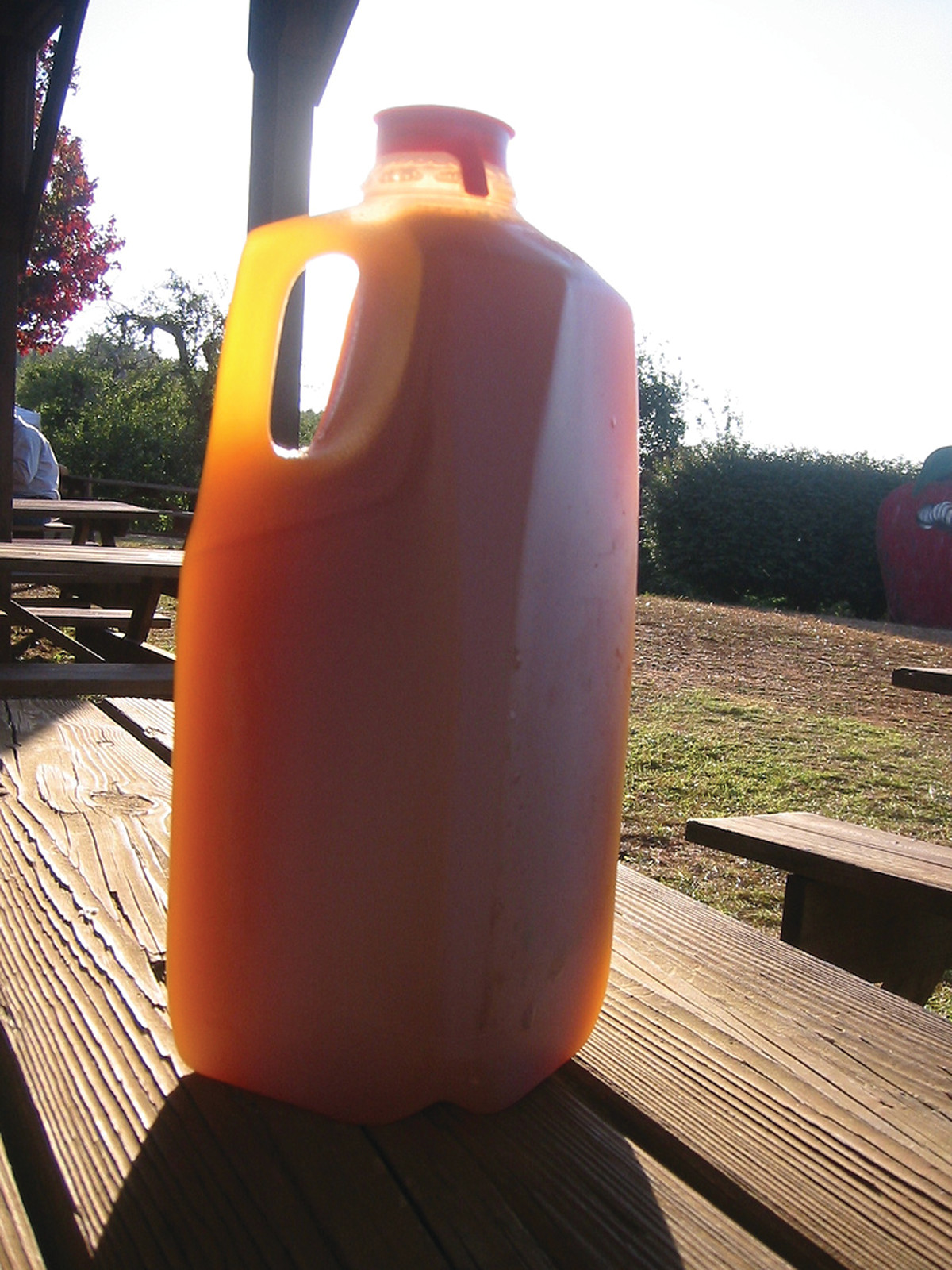 Orange plastic jug on a picnic table — historic image