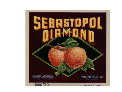 Sebastopol Diamond Brand apple crate label