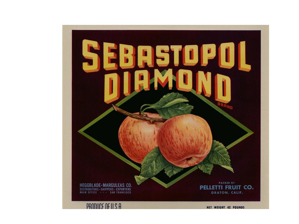 Sebastopol Diamond Brand apple crate label — historic image