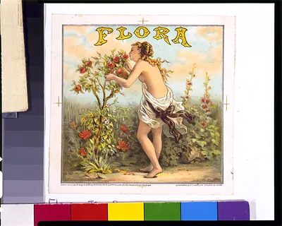 Flora / Schumacher & Ettlinger, lith., 15 Murray St. N. York.