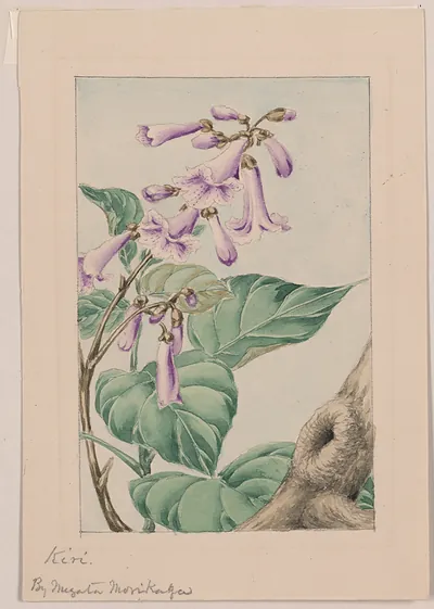 [Japanese drawing]