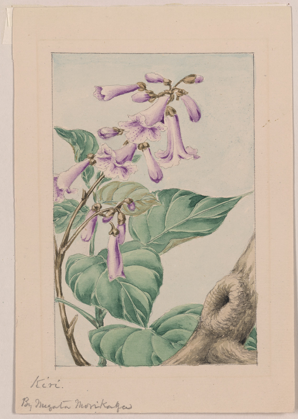 [Japanese drawing], 1750 — historic drawing