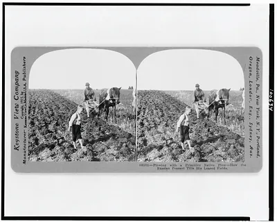 Plowing with a primitive native plow--how the Russian peasant tills his leased fields