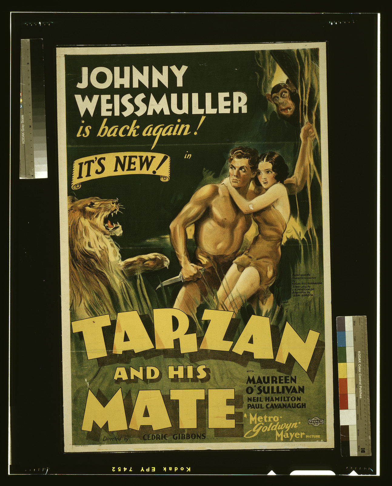 Tarzan and his mate, N[ew] Y[ork] : Tooker Litho. Co., [1934] — vintage poster