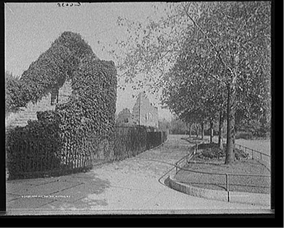 Bear pit, the zoo, Buffalo, N.Y.
