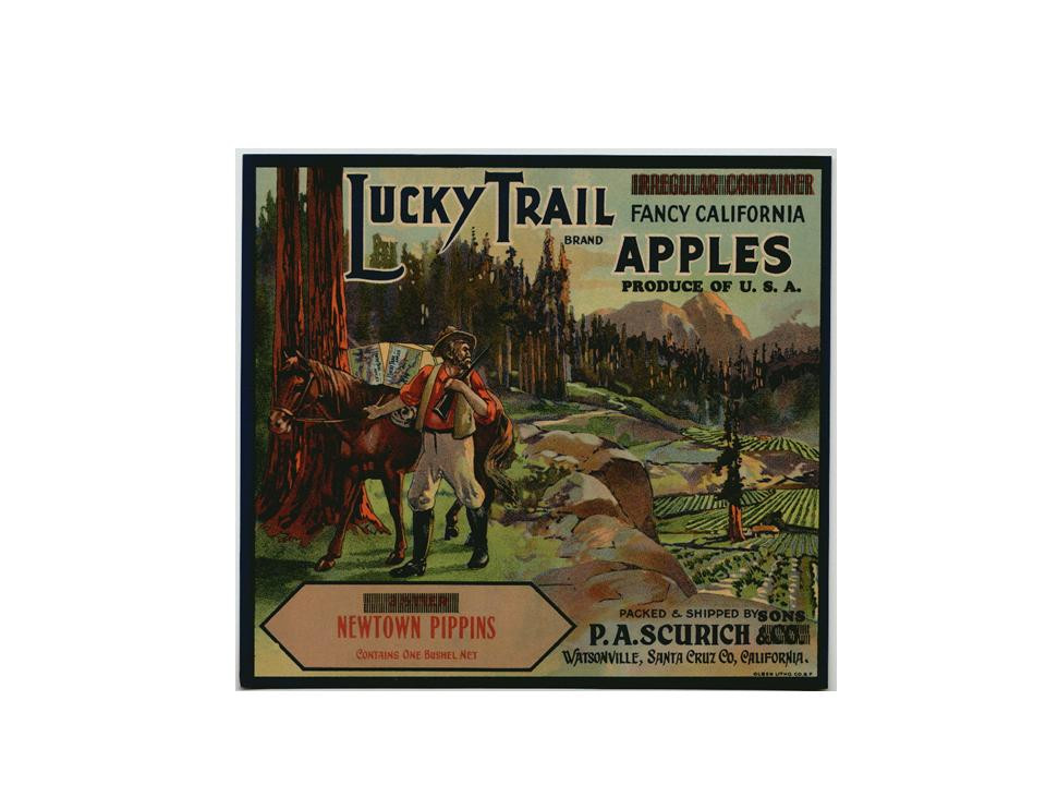 Lucky Trail Fancy California Apples crate label — historic image