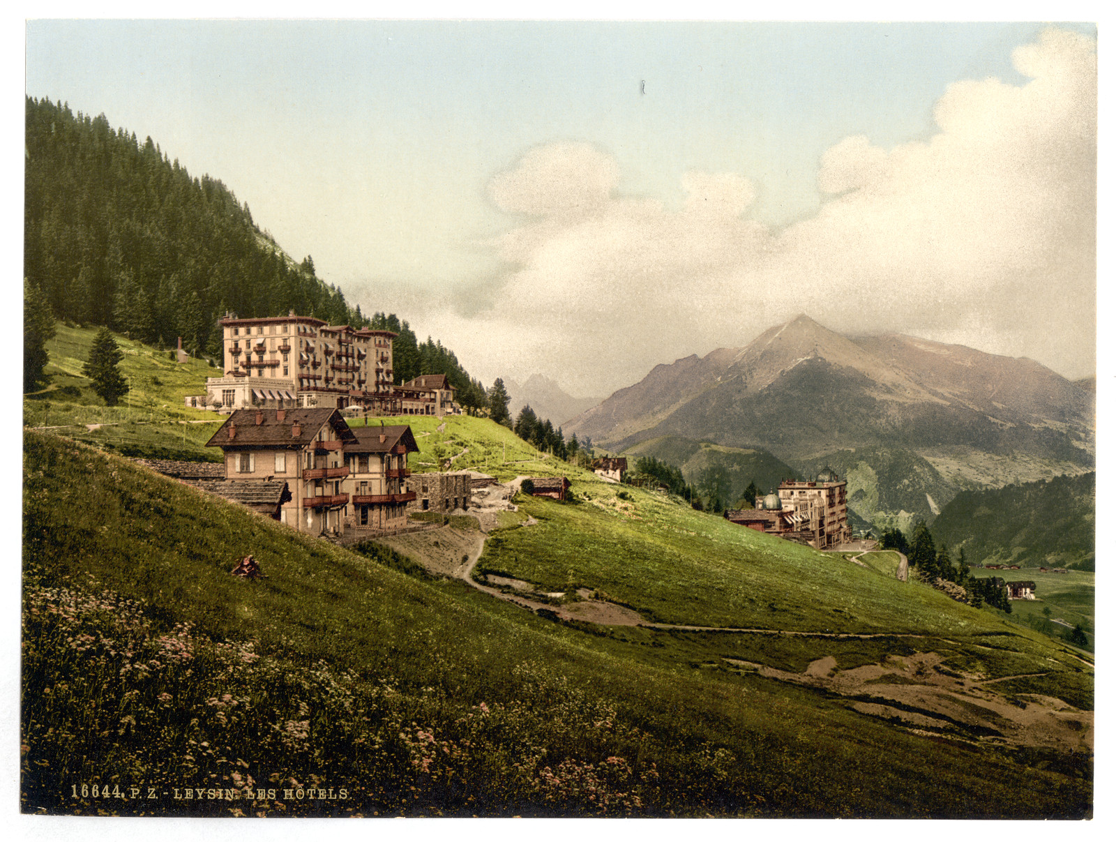 Leysin the hotels Nand Canton of Switzerland, [between ca. 1890 and ca. 1900]. — historic print