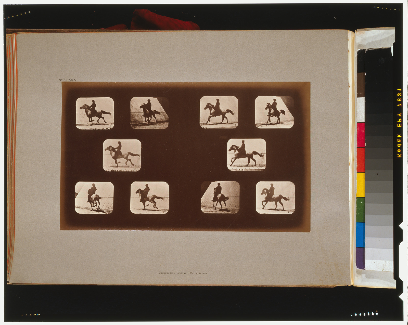 Horses. Running, [San Francisco] : Muybridge, c1881. — historic photograph