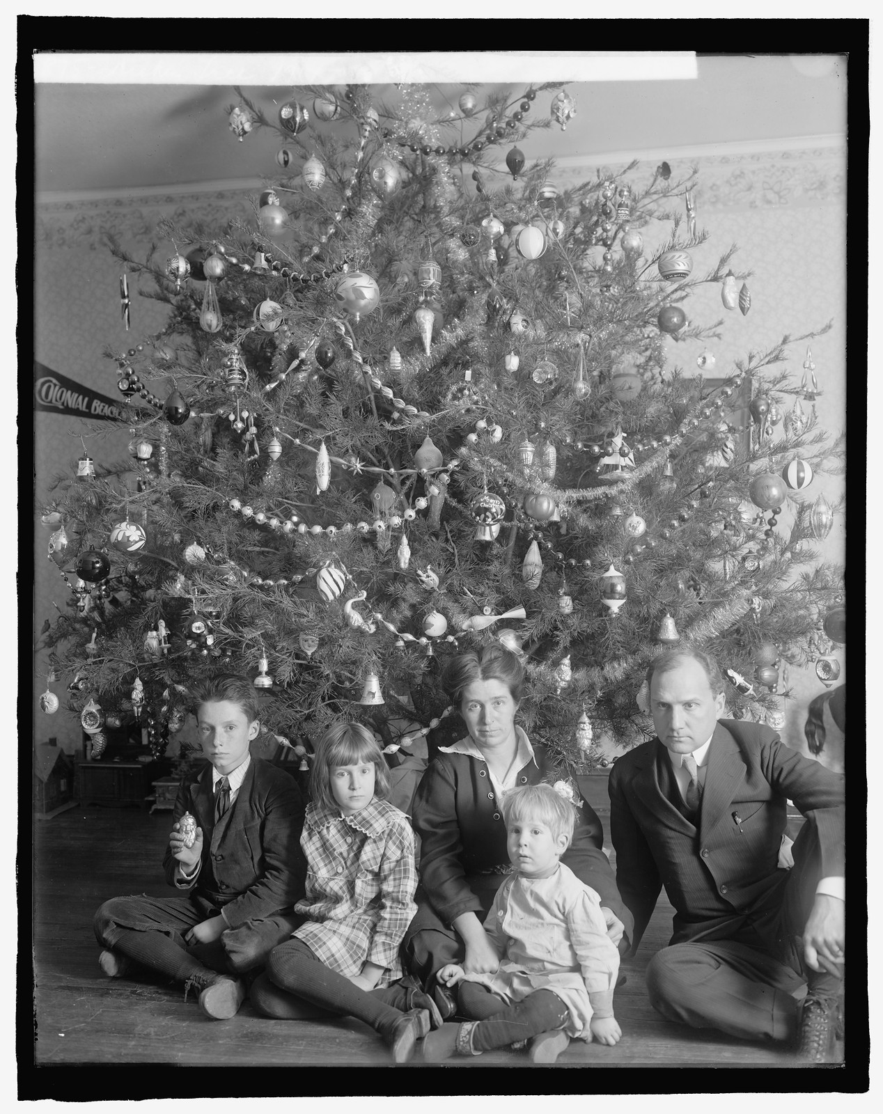 Dickey tree, 1914, 1914 — historic photograph