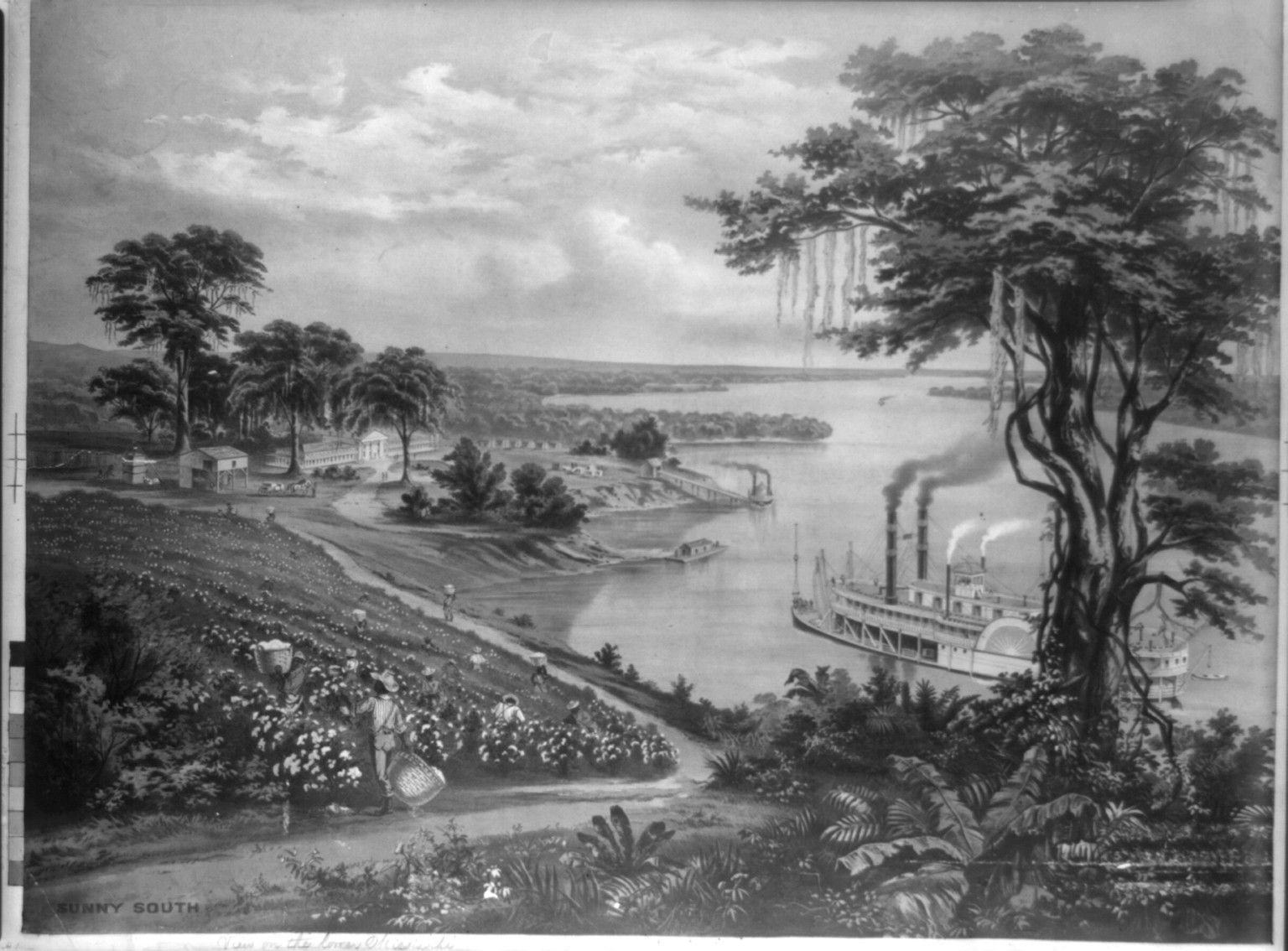 Sunny South, c1883. — antique lithograph