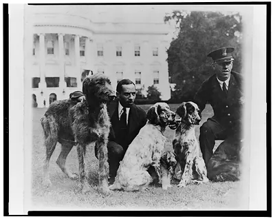 P.E. Allen of the White House police force and Harry Waters with some of the White House dogs