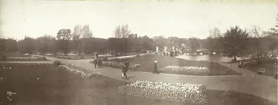 Panoramic view of Boston Public Garden with tulip beds
