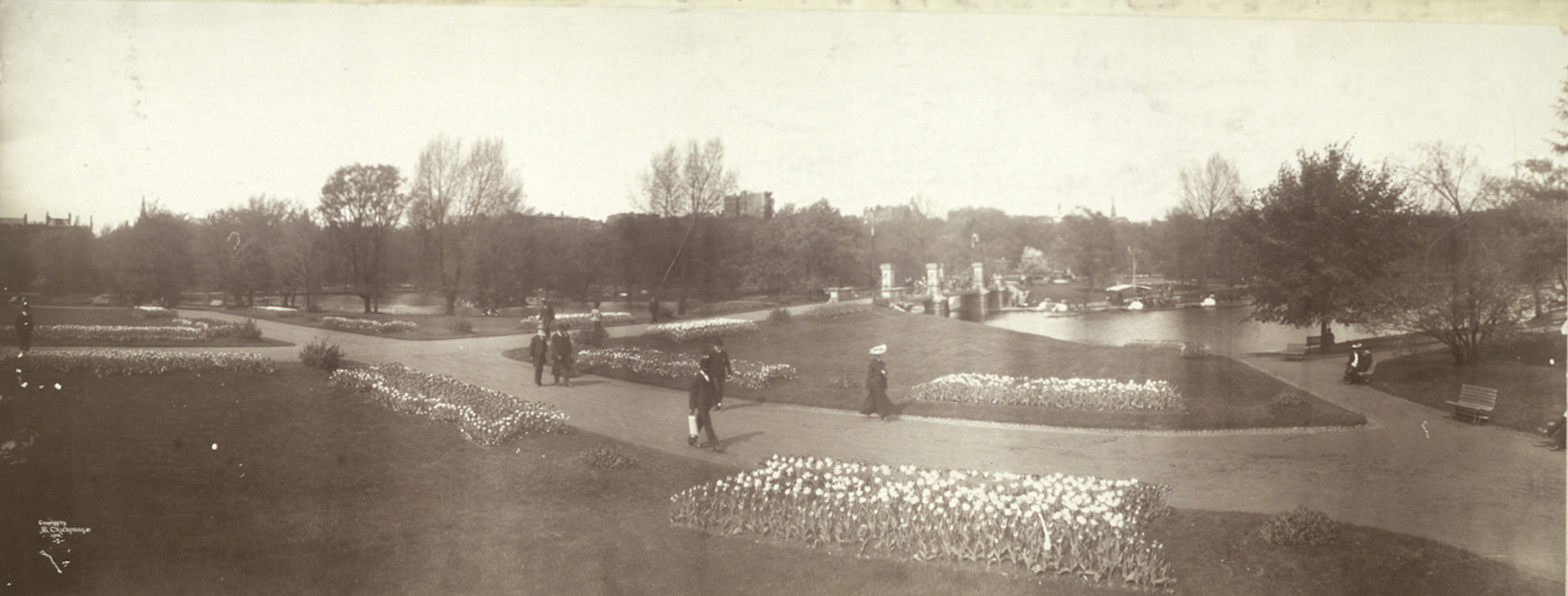 Boston Public Garden, Massachusetts, 1904, 1904 — historic image