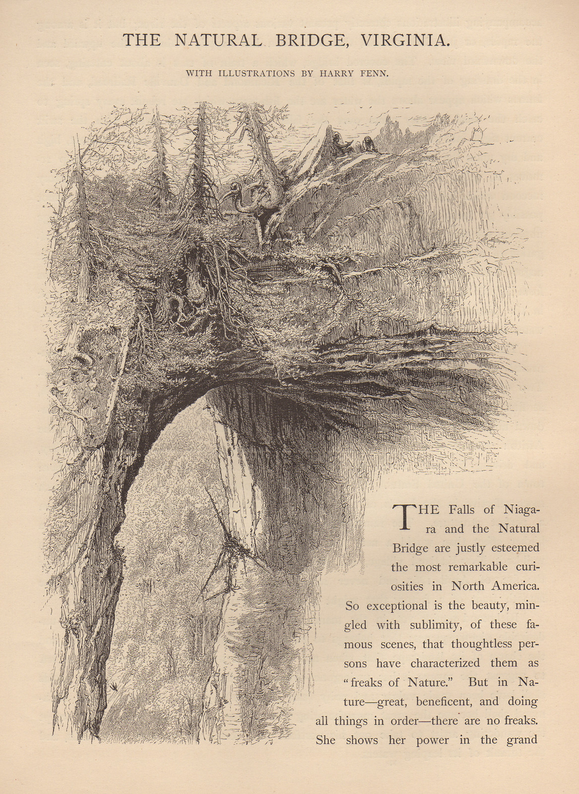 The Natural Bridge, Virginia, with illustrations by Harry Fenn — historic image