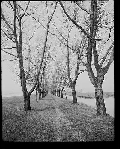 [Willow Ave., Star Island, St. Clair Flats, Mich.]