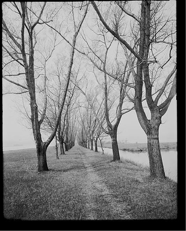 [Willow Ave., Star Island, St. Clair Flats, Mich.], [between 1900 and 1915] — historic photograph