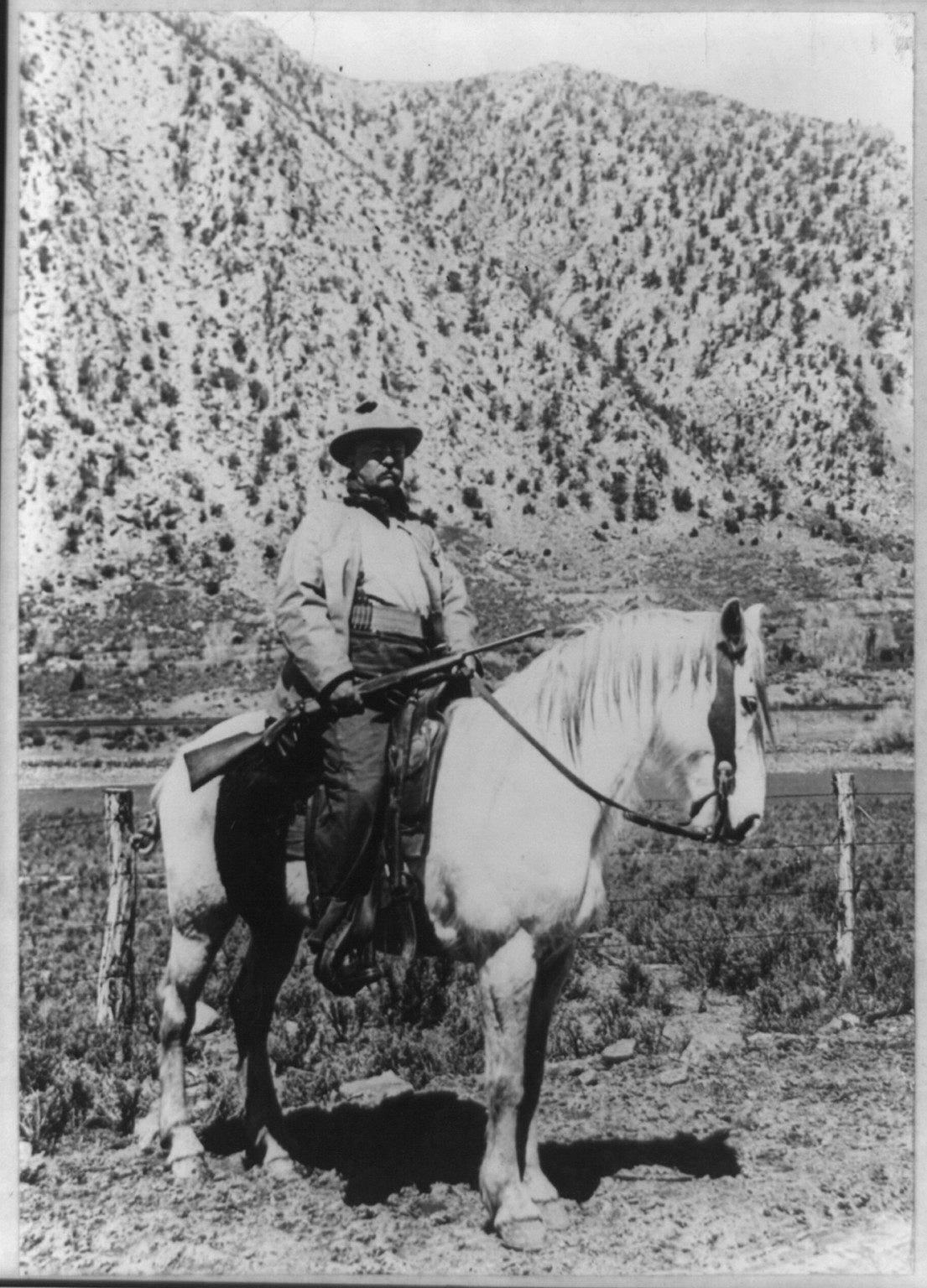 [Theodore Roosevelt on horseback carrying rifle], [between 1900 and 1910] — historic photograph