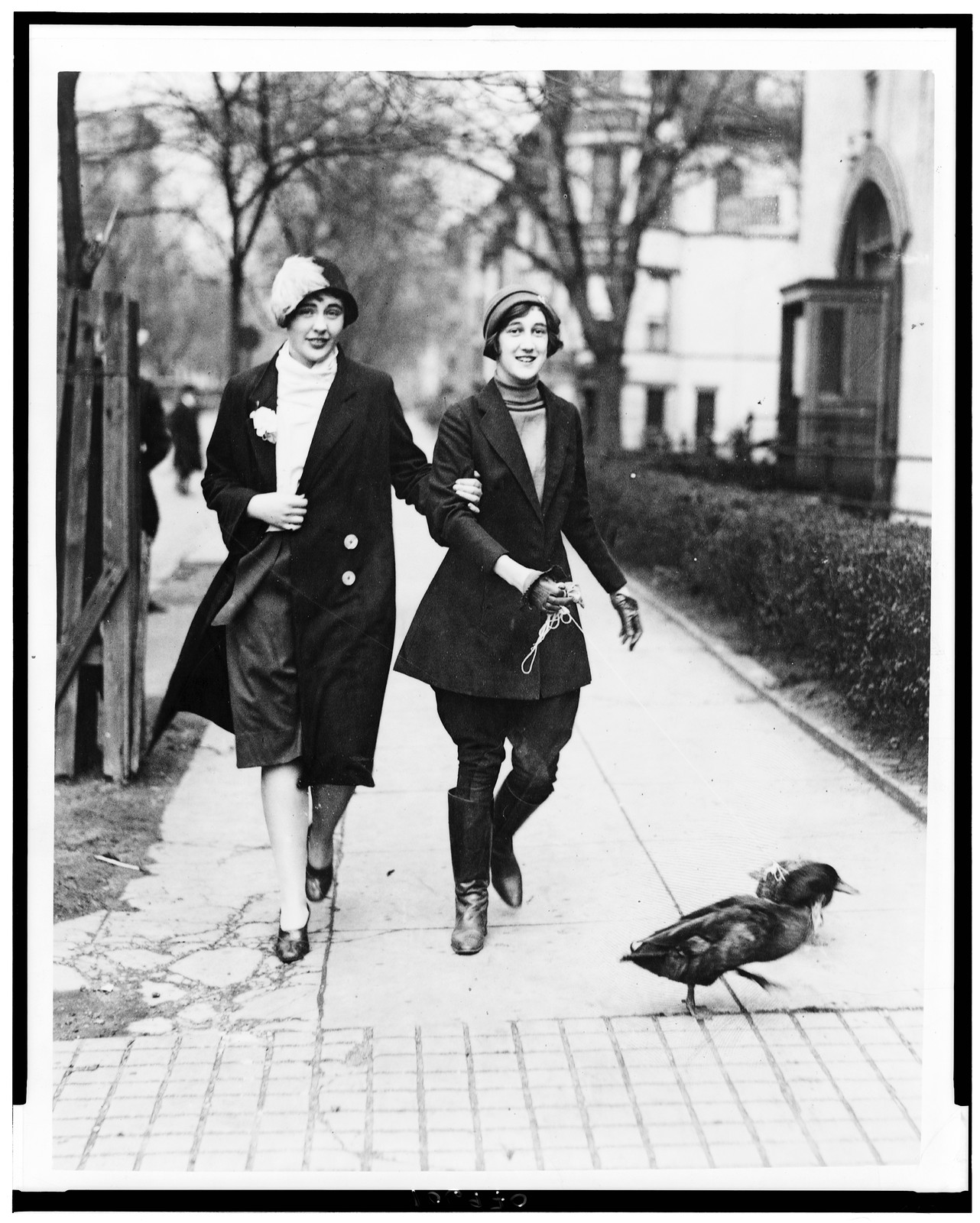 [Miss Mary Virginia Yellott and Miss Mary Carolyn Henry walking their ducks in Washington, D.C.], [between 1925 and 1932] — historic photograph