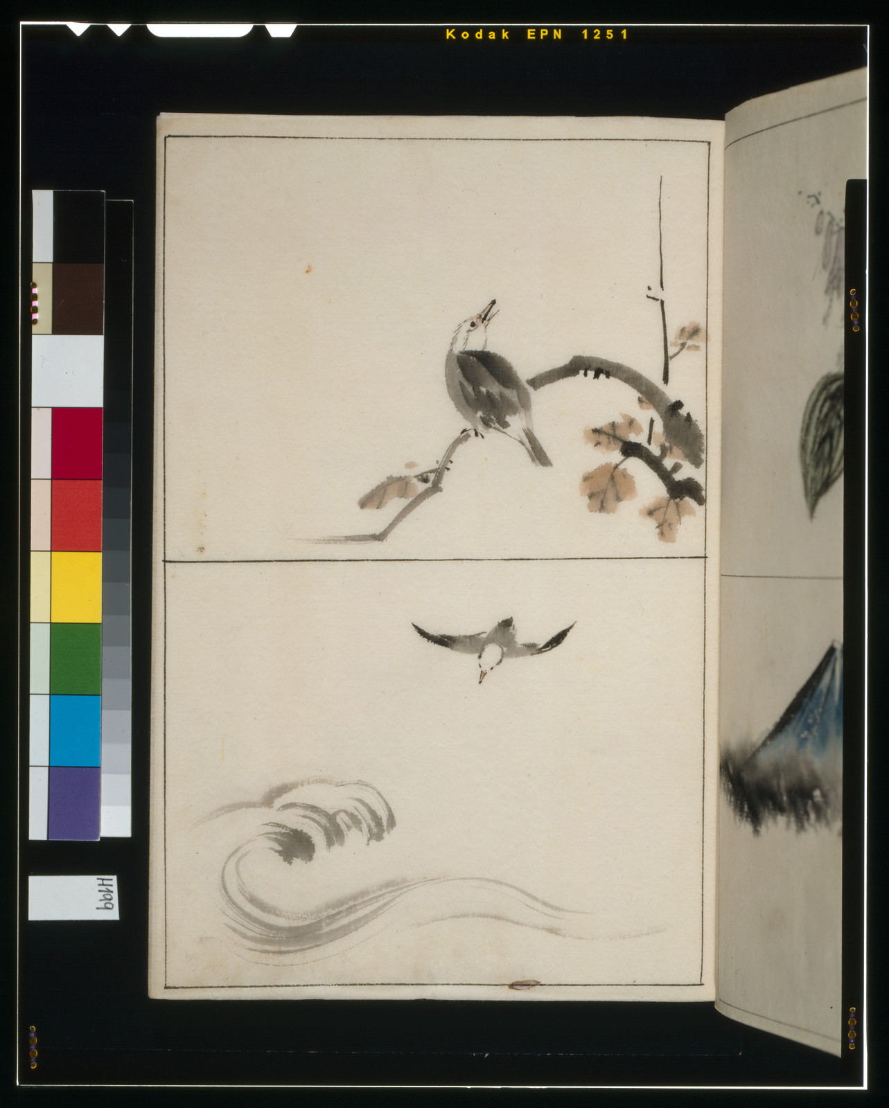 Ink sketches of a songbird, a swallow and waves in an album — historic print