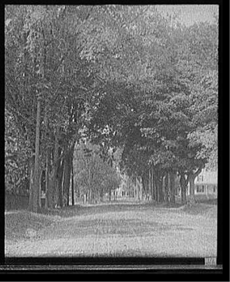 Pleasant Street, Laconia, N.H., c1908. — historic photograph