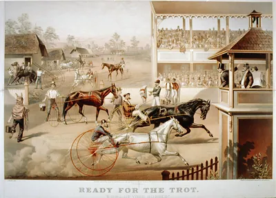 Ready for the trot: bring up your horse!""