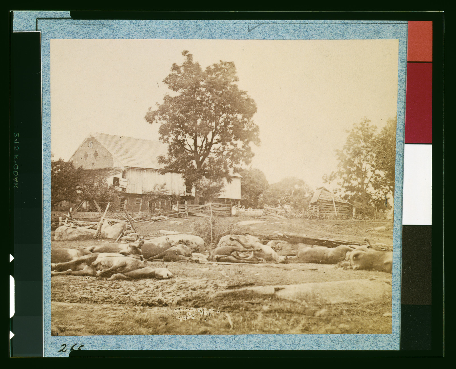 Dead horses of Bigelow's (9th Massachusetts) Battery, [photographed 1863, printed later] — historic photograph