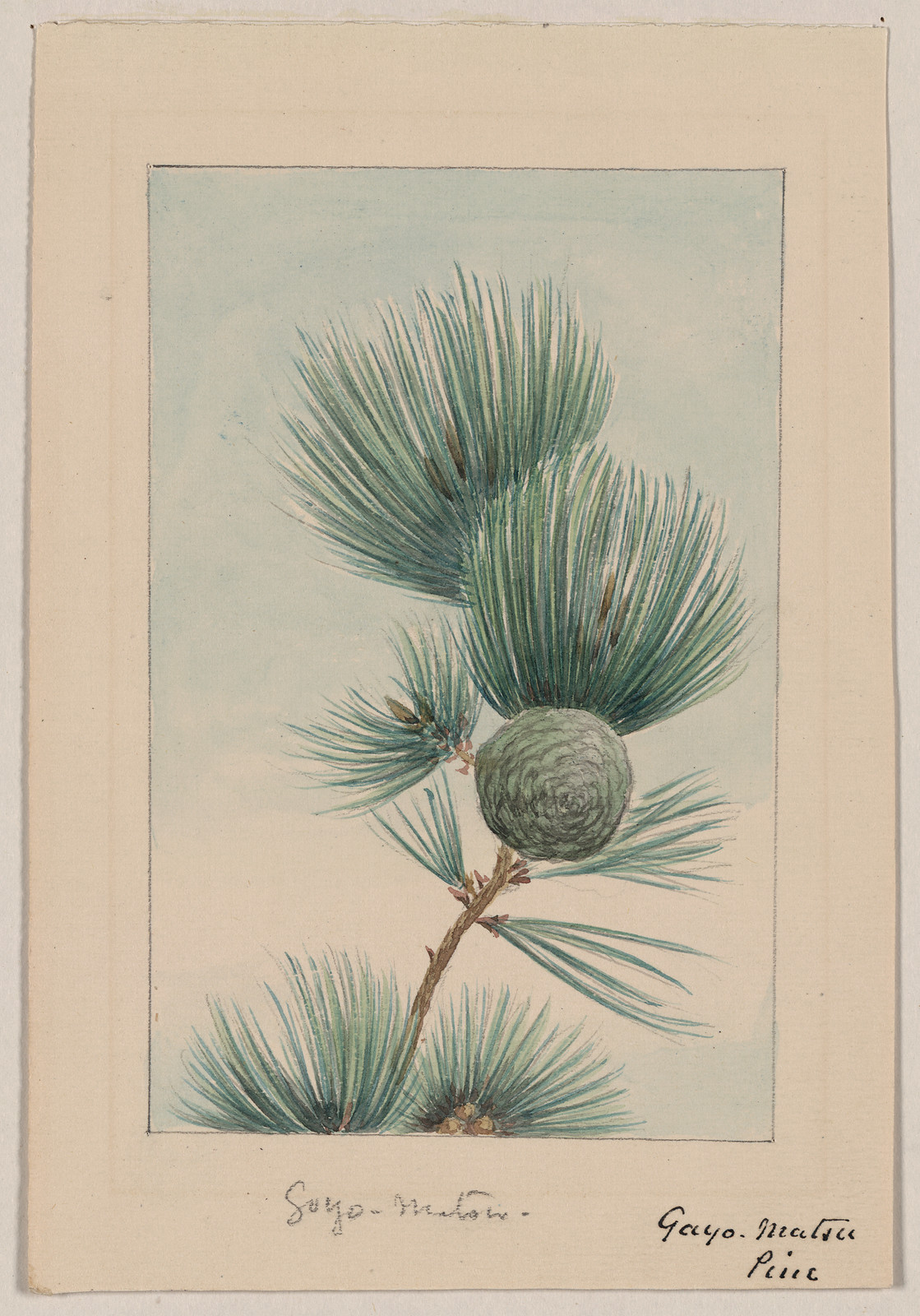 [Japanese drawing], 1750 — historic drawing