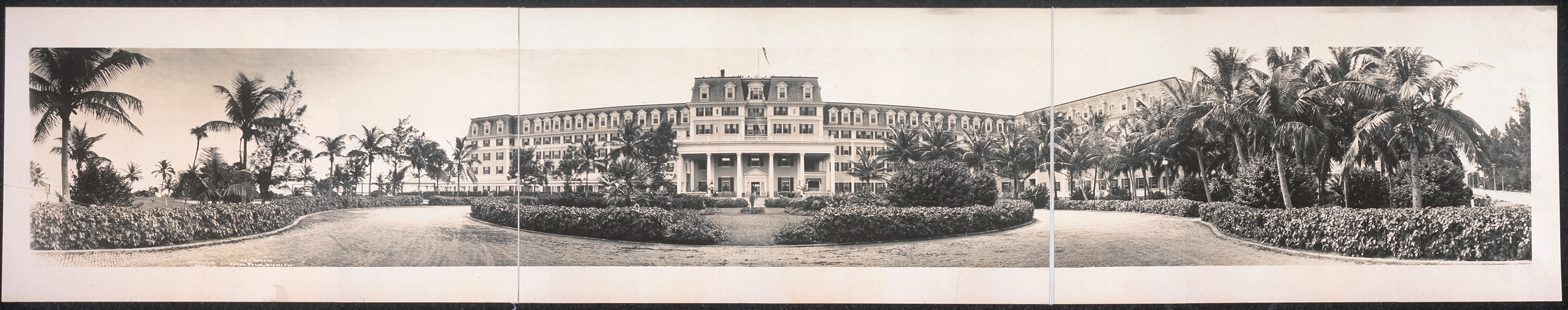 Royal Palm, Florida, 1912, 1912 — historic image