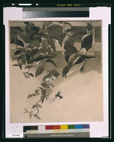[Bird after bee]