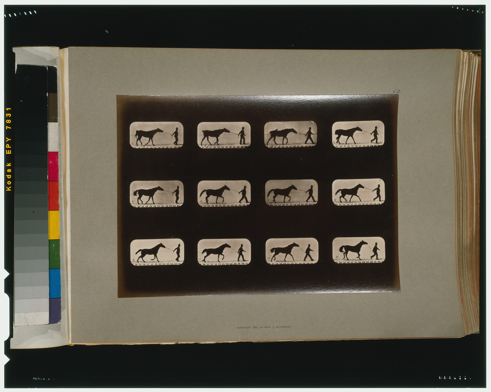 Horses. Irregular, [San Francisco] : Muybridge, c1881. — historic photograph