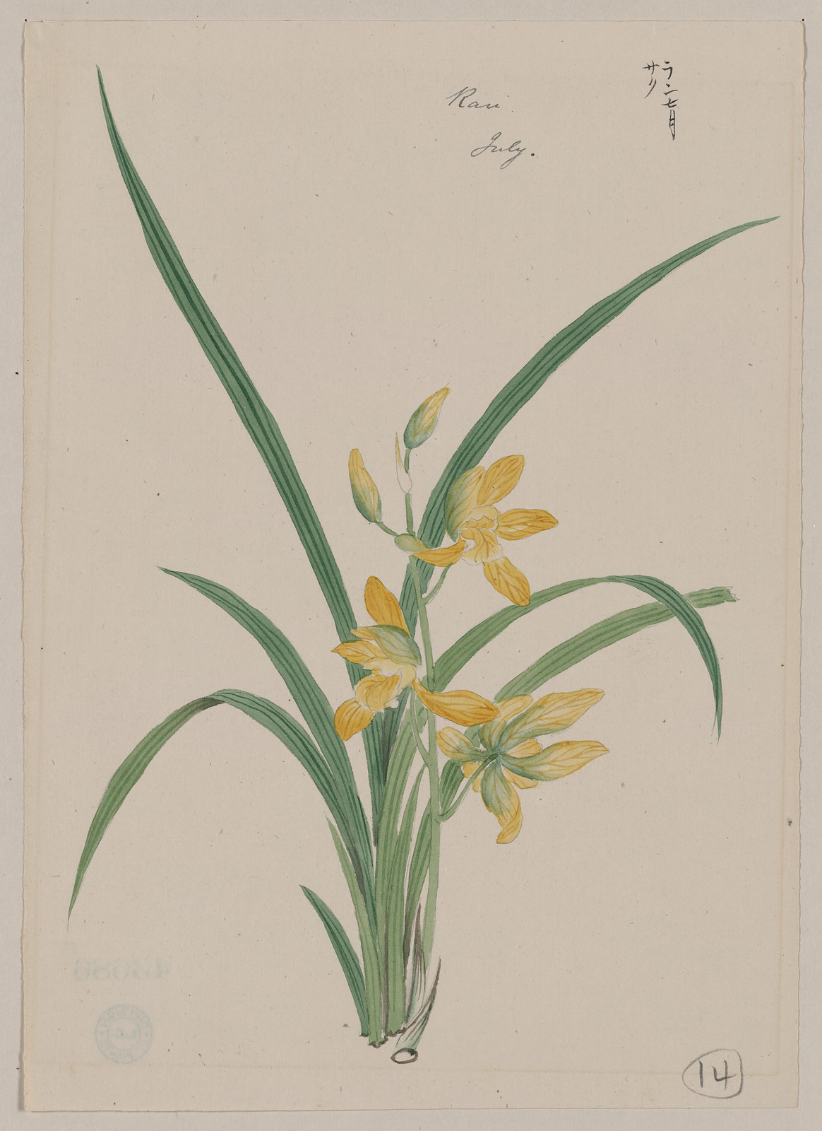 [Japanese drawing], 1750 — historic drawing