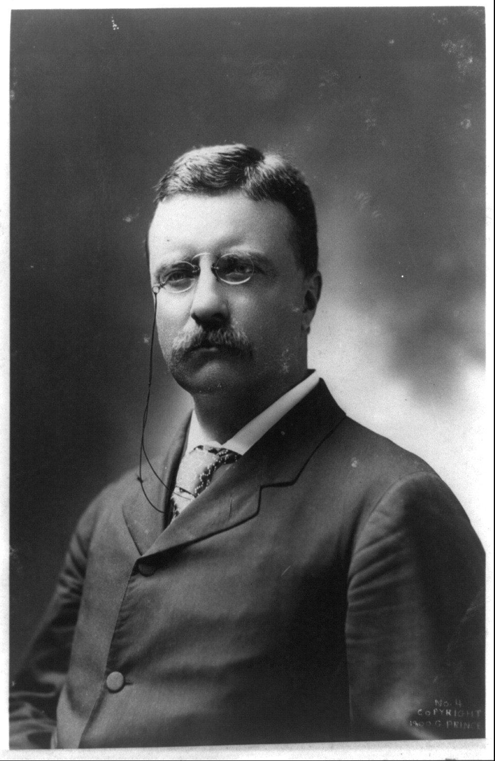 [Theodore Roosevelt, half-length portrait, facing left], c1900. — historic photograph