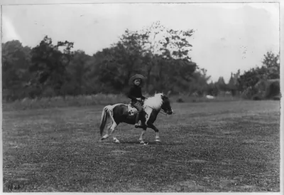 [Archie Roosevelt riding pony]