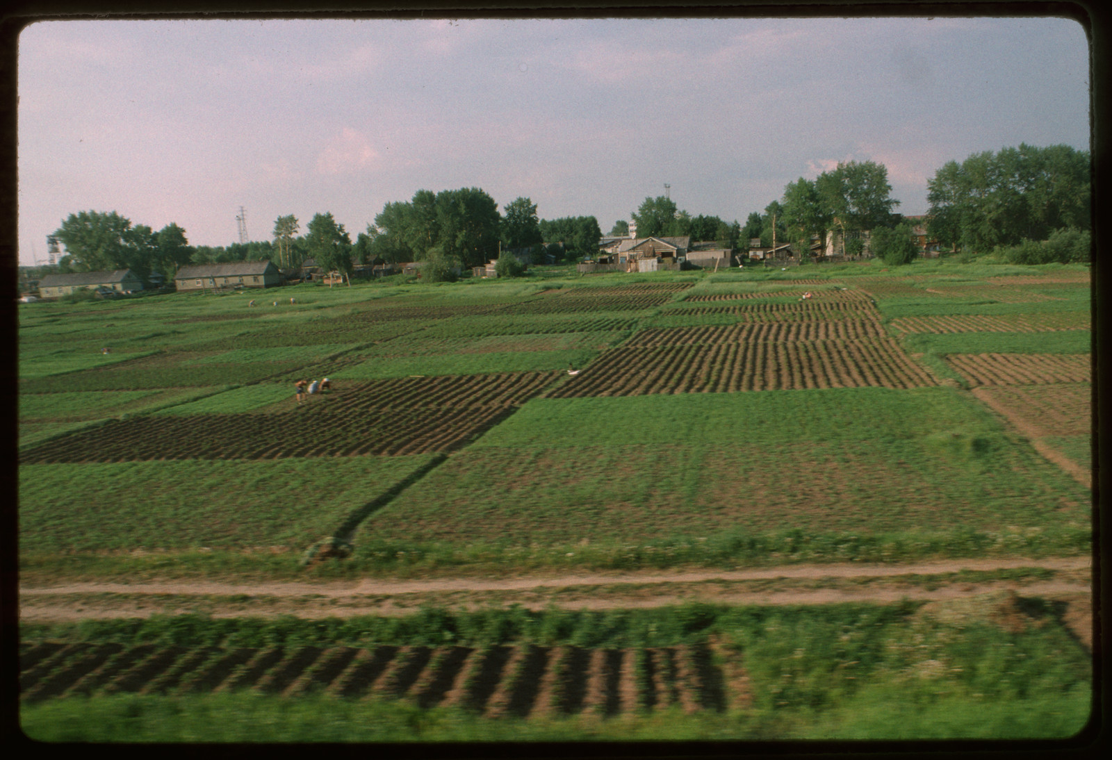 Private garden plots in s — historic image